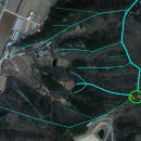 이숙기 묘 이미지