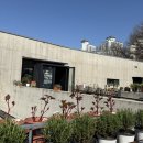 쌍용자동차 용인정비사업소(주) | 용인 지앤아트스페이스,용인갈만한곳, 용인 기흥 동탄봄나들이 꽃구경 플라워샵