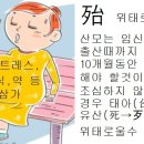 먹방한자(2023년 2월7 화) 위태할 태(殆) 이미지