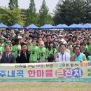 내곡초교 이미지