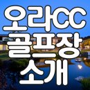 에이스렌터카주 이미지