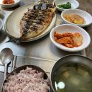 고고 268 이미지