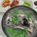 [일상] 07/15-21 가족들과 캠핑가기/ 당근으로 새로운 식물 들이기_식집사의 일상/ 직장인 퇴근후/ 주말...