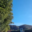 해파랑길 7코스 이미지