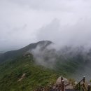 갈산리목장 | 금북정맥 14구간 서산 가야산(伽倻峰 678) 210821