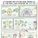 함백여중 이미지