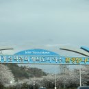 다락휴 여수점 | 여수 낭만포차거리 가까운 숙소 다락휴 여수 오션뷰 내돈내산 후기(아고다 예약)