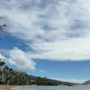 (주)메지온 이미지