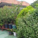 바다성펜션 이미지