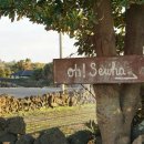 세화 정원 이미지