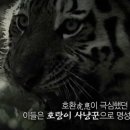백정 이미지