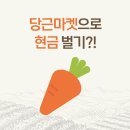 지에스테크 | 당근마켓에서 동네걷기로 번 돈, 진짜 현금으로 출금했다 (당근 앱테크 후기)
