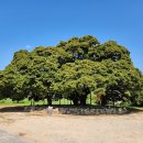 장흥정자마을회관 이미지