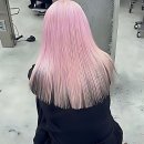 댕댕이 미장원 | 찐 후기 갑니다! 인생 머리 찾았어요