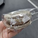 (주)빙그레 노동조합 | 25.09.둘째주 / 먹을 복도 가득 일 복은 더 가득..