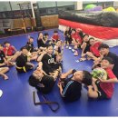 튼튼합기도 이미지