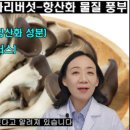 노화종합가스 이미지