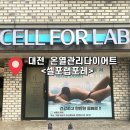 셀포랩포레