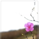 명립 이미지