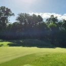 골프드래곤 이미지