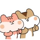 임실백제약국 이미지