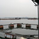 창리해상낚시터 이미지