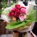 꽃향기어린이집 이미지