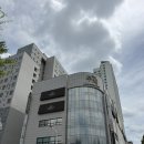수상한참치.회 | 안산 웨딩홀 투어 더루체 디즈니컨셉 예식장 뷔페 시식 후기