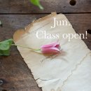 (11/21) 핸드타이드 꽃다발 이미지