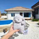 오도이촌 | 논산 부여 여행 감성 숙소 오도이촌