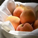 롯데쇼핑(주) 롯데마트사업본부 이미지