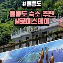 살로메민박 | 울릉도여행숙소 추천, 리모델링으로 깔끔했던 살로메스테이 펜션 내돈내산 후기