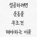 카이안복싱 이기대GYM 이미지