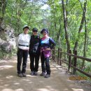 성혜농장 이미지