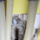 공원로-4 이미지