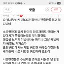 똥킬이랑 모함이는 양심에 가책이 올려다가 말았다 이미지
