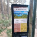 작은별장 | 고성 화진포 여행 김일성별장 유래 풍경 전시관