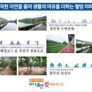 고림고등학교 앞 이미지