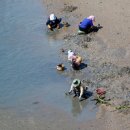 울진 기성어촌체험마을 이미지