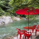 갯골산머루 민박 이미지