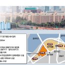 압구정-117 이미지