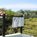 대안세탁 이미지