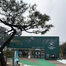 블랙큐PC방 | [포천 가볼만한곳] 국내 유일하게 테디베어 소가 있는 ‘마이애니멀스토리 in 평강랜드’
