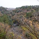 별 내린 커피 이미지