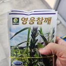 한농종묘사 이미지