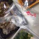 대구 월배 대천동 족발 맛집 겉.쫀.속.촉 황도화덕족발