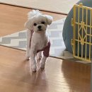 당일치기 경주 여행