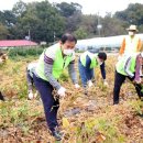 대야리(대실) 이미지