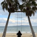 태정화장품 | [부관훼리] 배타고 일본 패키지 여행_3일차 일본 일정 그리고 쇼핑(1)