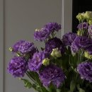 헤어퍼플미용실 - 창원시 성산구 | 헤어퍼플미용실